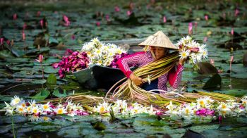 Bàu súng phú Yên